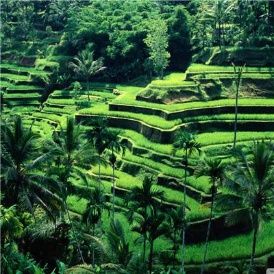 爱游戏全站APP下载手机app下载